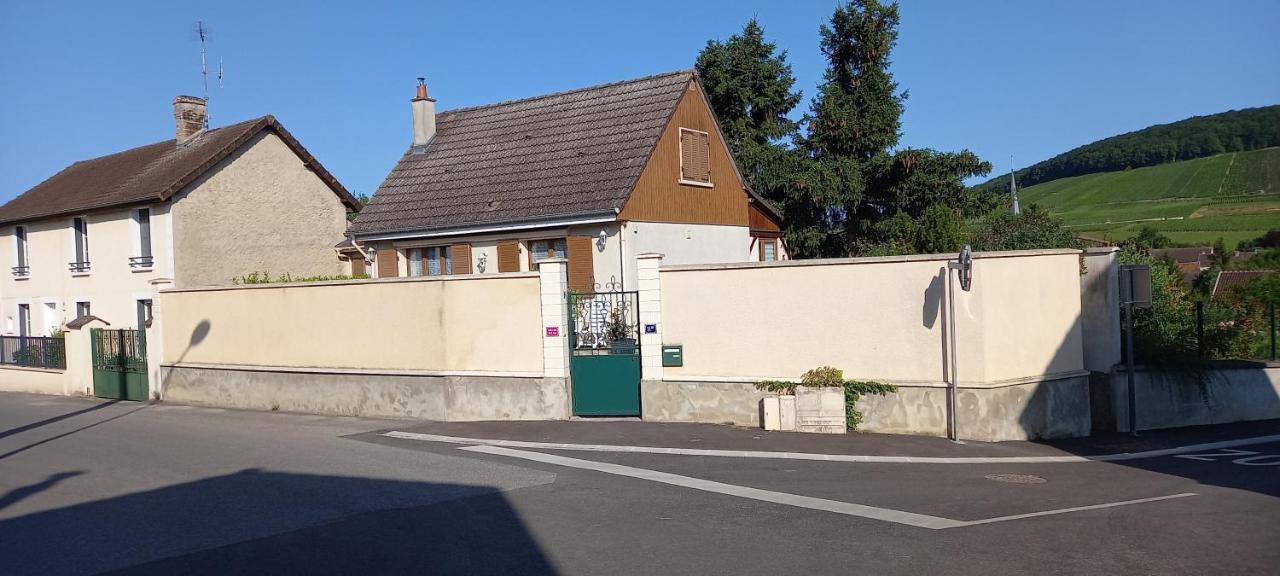 Gite Du Bel Air Festigny  Dış mekan fotoğraf
